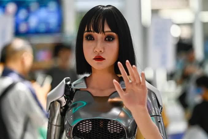 Humanoid Robot